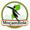 Mozambique Cup