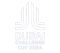 Cúp thách thức Dubai