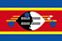 Eswatini logo