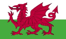 Wales VI logo