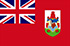 Bermuda logo