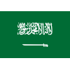 Saudi Arabia Beach Soccer logo