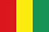 Guinea(w) logo