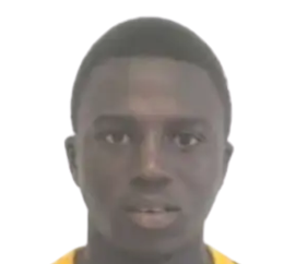 M. L. Gueye