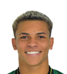 Rodriguinho