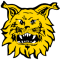 FC Ilves II(w) logo