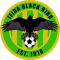 Ifira Black Bird logo