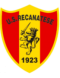 Recanatese U19 logo