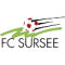 Sursee logo