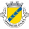 Courense logo