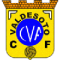 Valdesoto logo