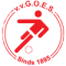 GOES logo