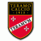 S.S. Teramo Calcio logo