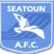 Seatoun Afc(w) logo