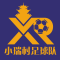 Xiaorui Village FC logo