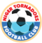 Niger Tornadoes FC logo