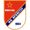 Novi Sad U19 logo