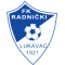 Radnicki Lukavac logo