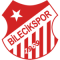 Bilecikspor logo