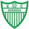 Avenida RS logo