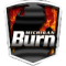 Michigan Burn (W) logo