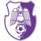 FC Arges Pitesti logo