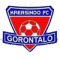 Kreasindo FC logo