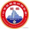 Shandong Wangyue FC logo