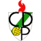 CD Pamplona U19 logo