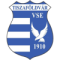 Tiszafoldvar VSE logo