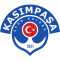 Kasimpasa U19 logo