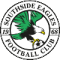 Southside Eagles U20 logo