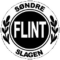 Flint U19 logo