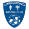 Sarreguemines logo