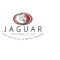 Jaguar FC(w) logo