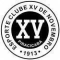 XV de Piracicaba logo