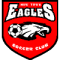 New Town Eagles logo