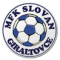 Slovan Giraltovce U19 logo