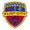 Flint City AFC (W) logo