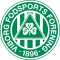 Viborg logo