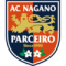 Nagano Parceiro(w) logo