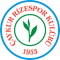 Rizespor logo