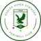 Eagles Super Strikers logo