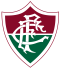 Fluminense Youth logo