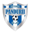 ACS Viitorul Pandurii Targu Jiu U19 logo