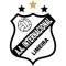 Inter de Limeira logo