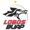 Lobos BUAP U20 logo