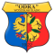 Odra Wodzislaw logo