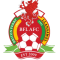 Briton Ferry(w) logo