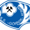 Gornik Konin logo